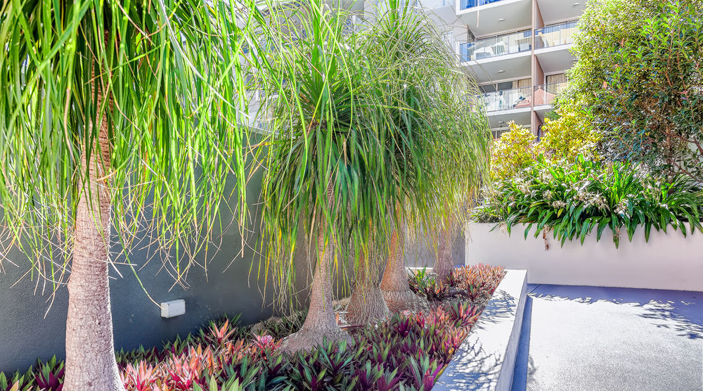 Trilogy Residences בריסביין מראה חיצוני תמונה